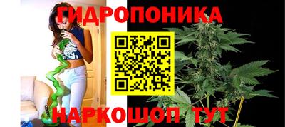 spice Коммунар