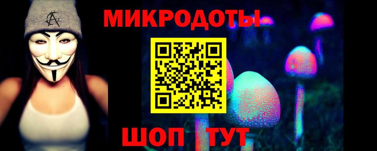 Кириши  Псилоцибиновые грибы Psilocybe  Вход с VPN 